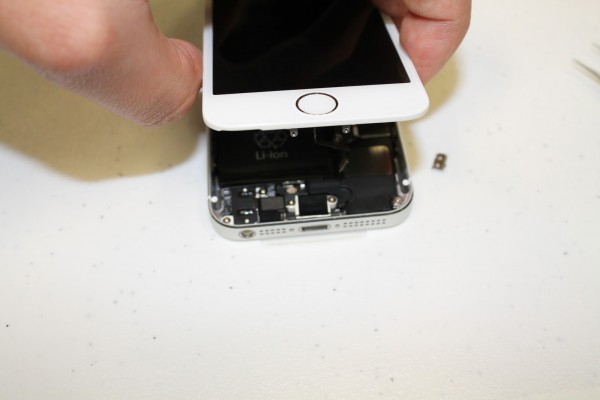 iPhone 5S e iPhone 5C smontati pezzo per pezzo da iExperts