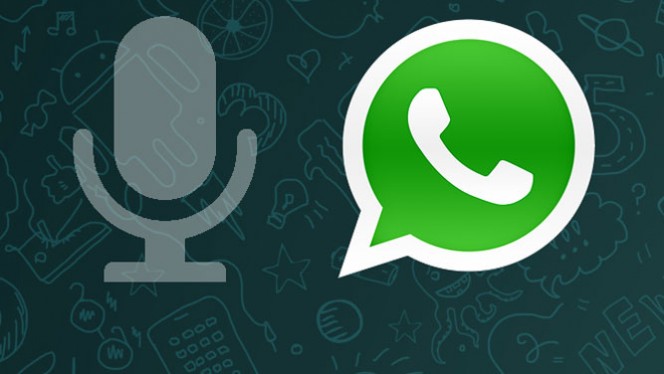 whatsapp-android-chat-vocal1-664x374